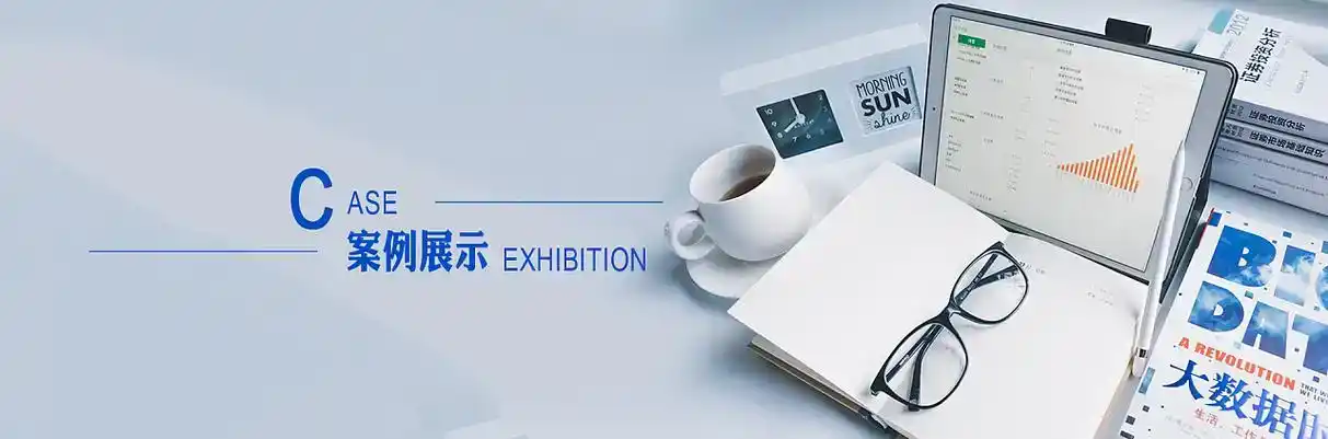 阳明区软件开发